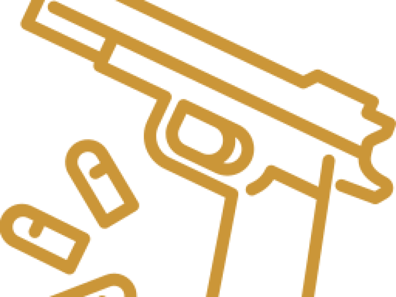 Posse de armas | advogado criminal em porto alegre